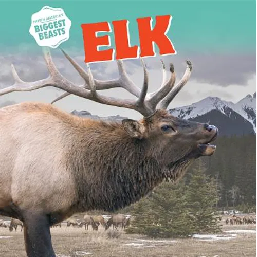 Elk
