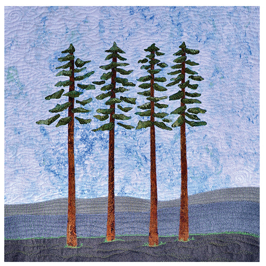 Beautiful Landscape Quilts Book