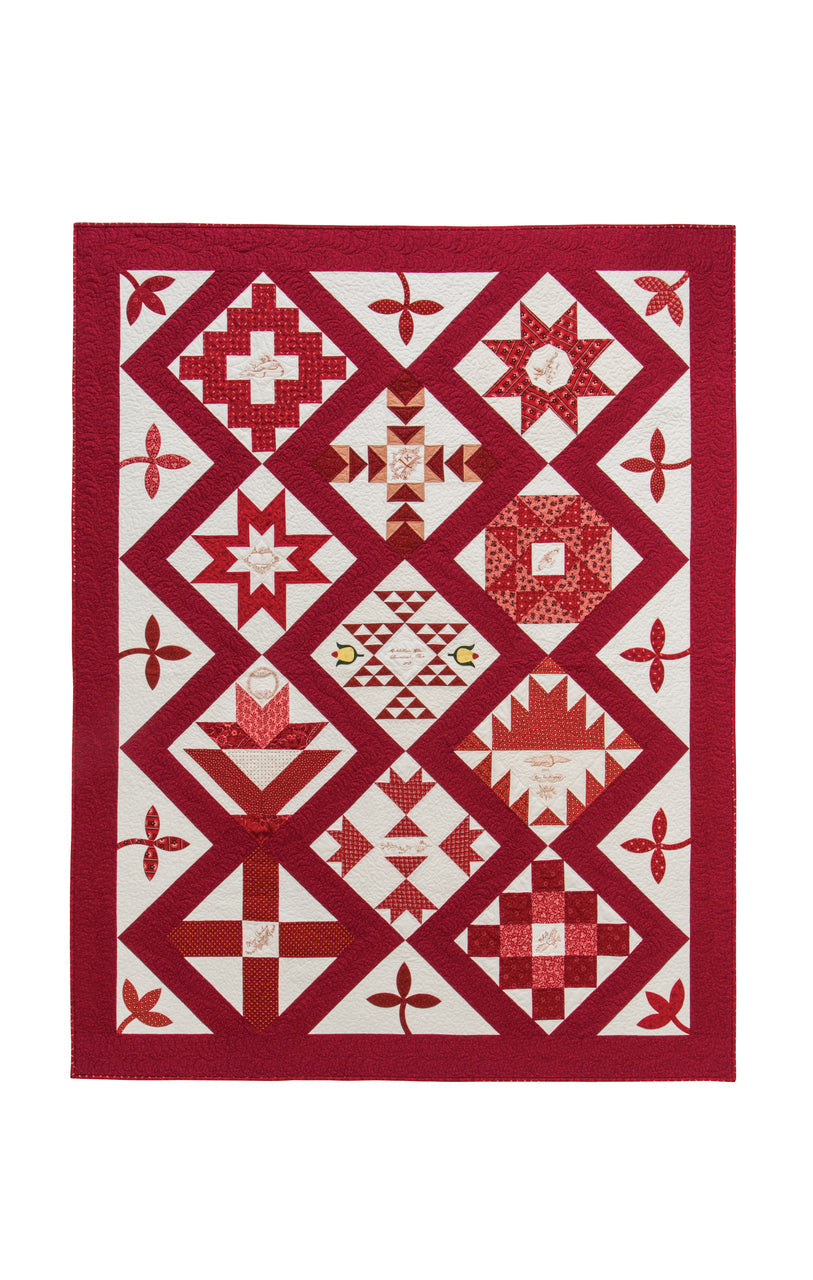 Divided Hearts, A Civil War Friendship Quilt Book