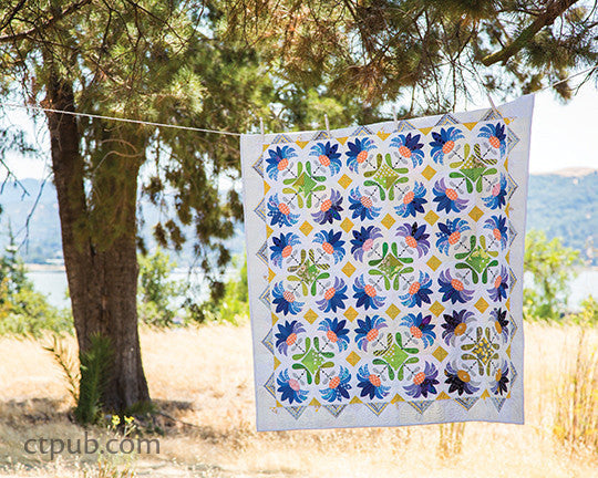 The Quilter's Practical Guide to Color Book