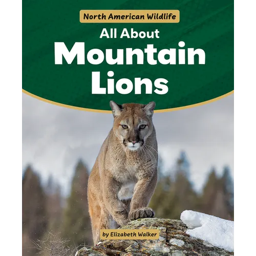 All about Mountain Lions