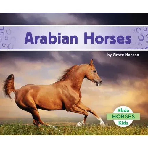 Arabian Horses