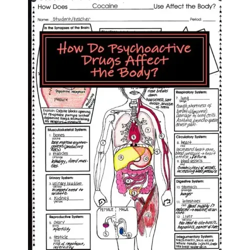 How Do Psychoactive Drugs Affect the Body?: Understanding How Drugs Affect the Synapse and Body Organs