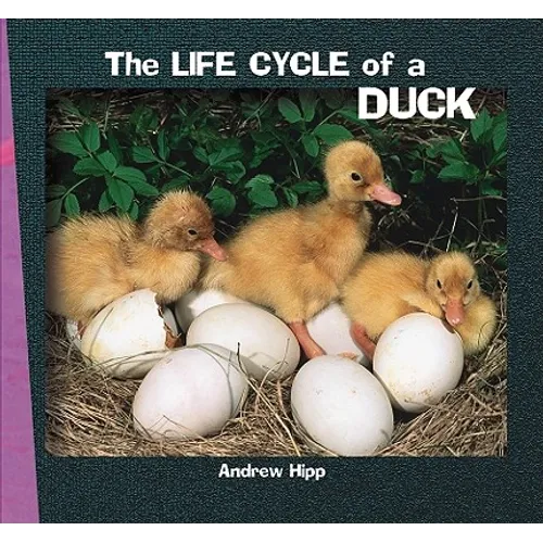 The Life Cycle of a Duck
