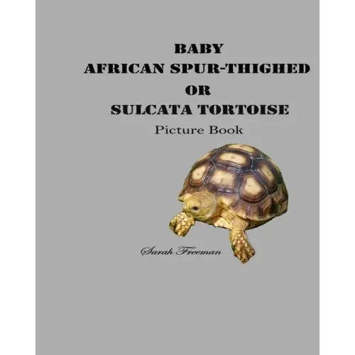 Baby African Spur-Thighed or Sulcata Tortoise Picture Book