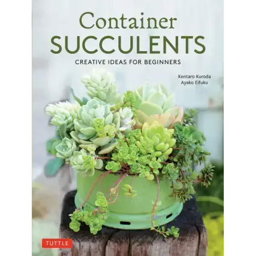 Container Succulents: Creative Ideas for Beginners