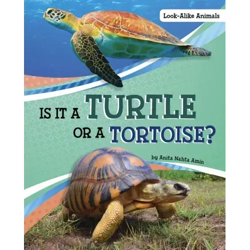 Is It a Turtle or a Tortoise?