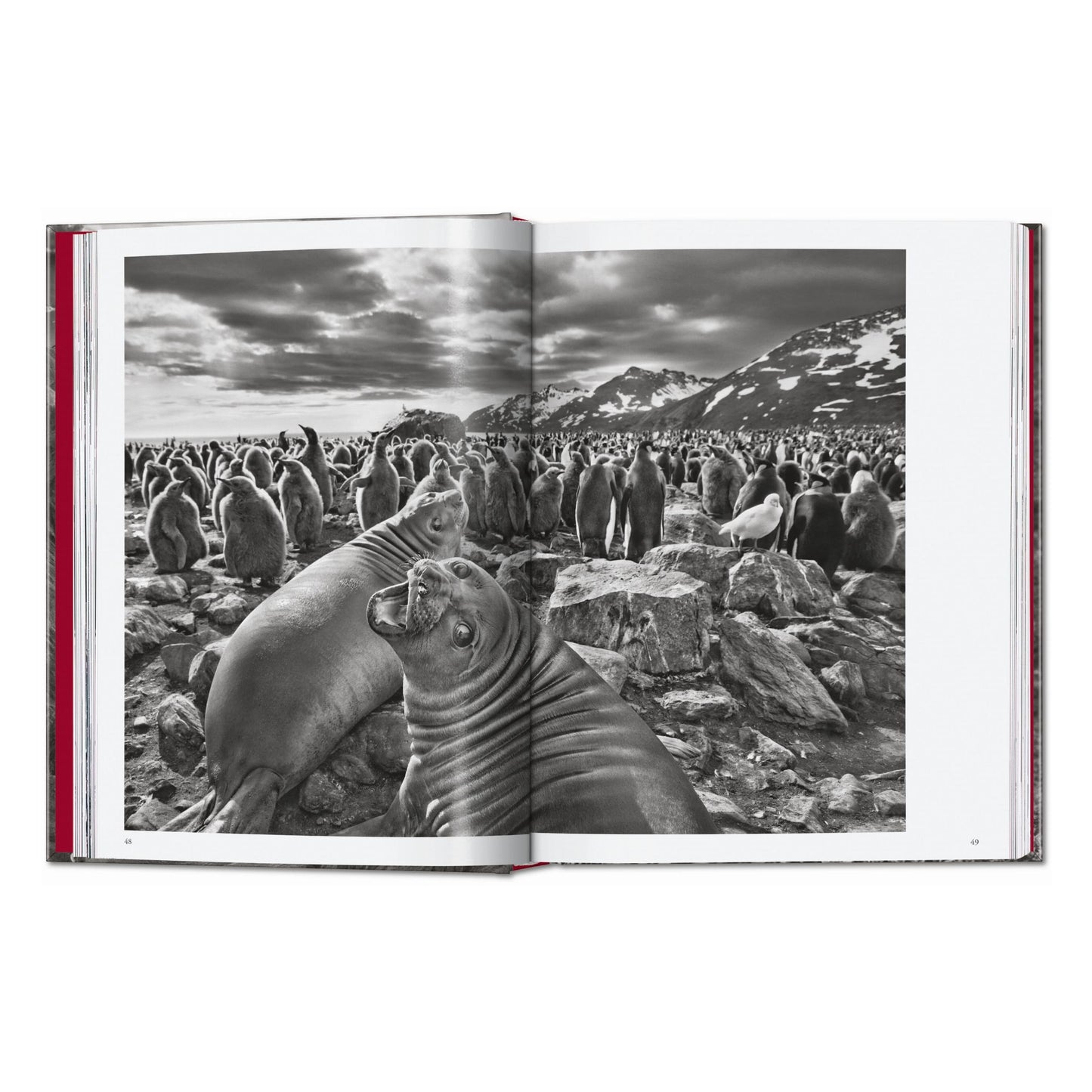 Sebastião Salgado. Genesis. 45th Ed. (English) Book