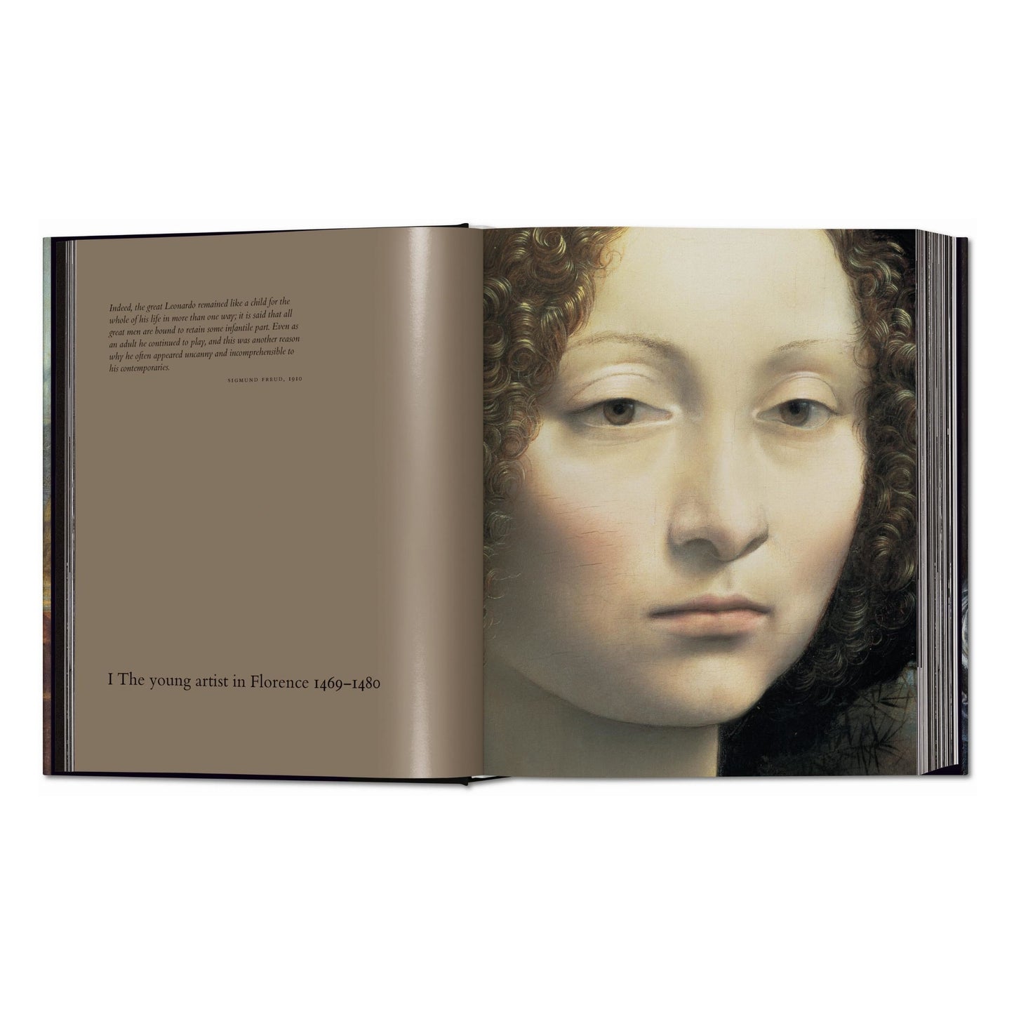 Leonardo. The Complete Paintings and Drawings (English) Book