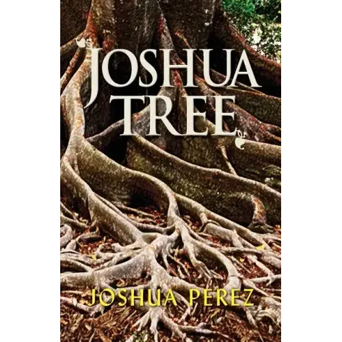 Joshua Tree