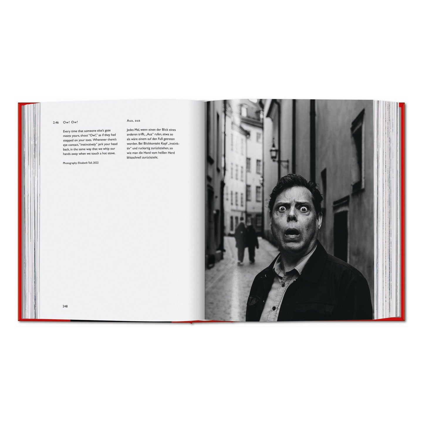 Carsten Höller. Book of Games (German, English) Book
