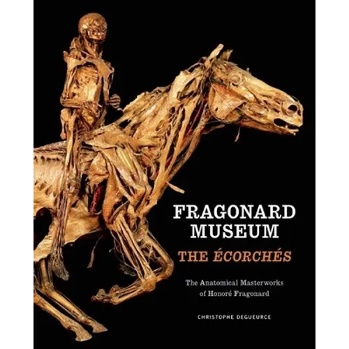 Fragonard Museum: The Écorchés