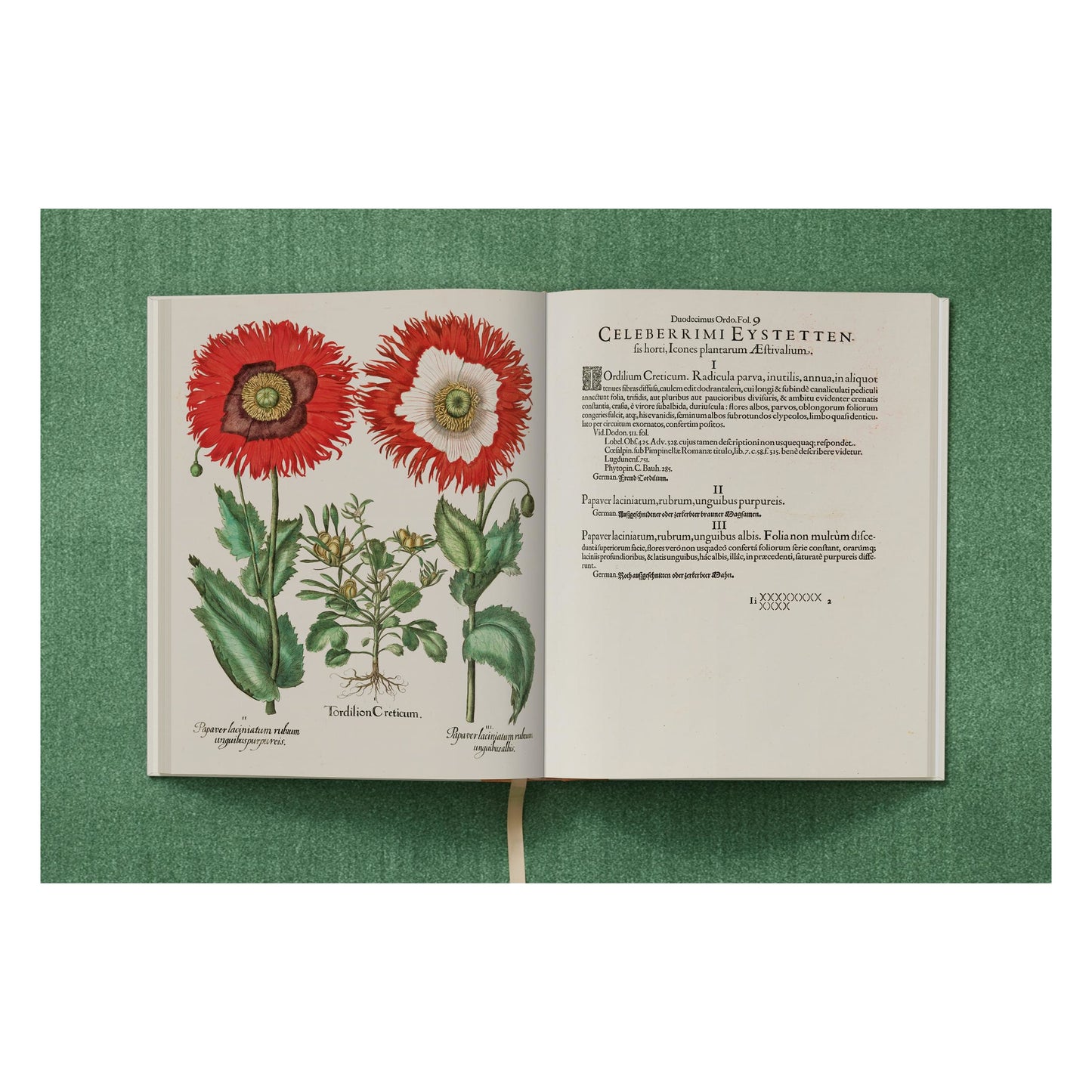 Basilius Besler. The Garden at Eichstätt (German, French, English) (FFE) Book