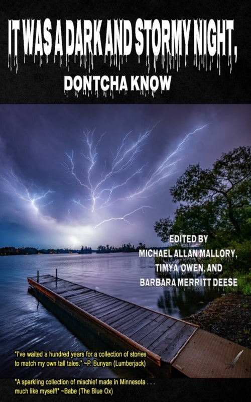 It Was A Dark And Stormy Night, Dontcha Know Book