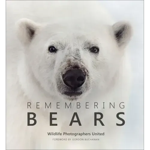 Remembering Bears
