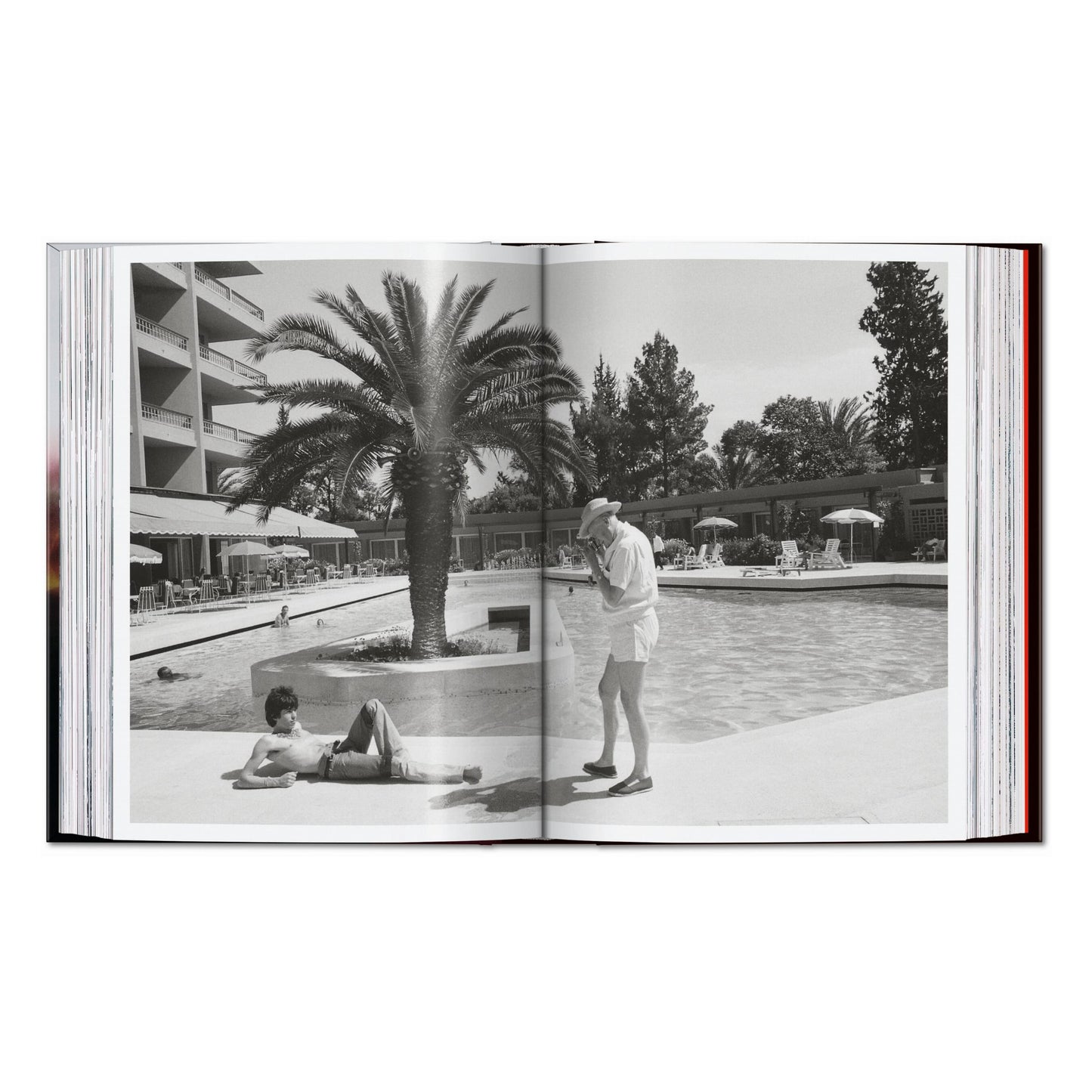 The Rolling Stones. 45th Ed. (English) Book