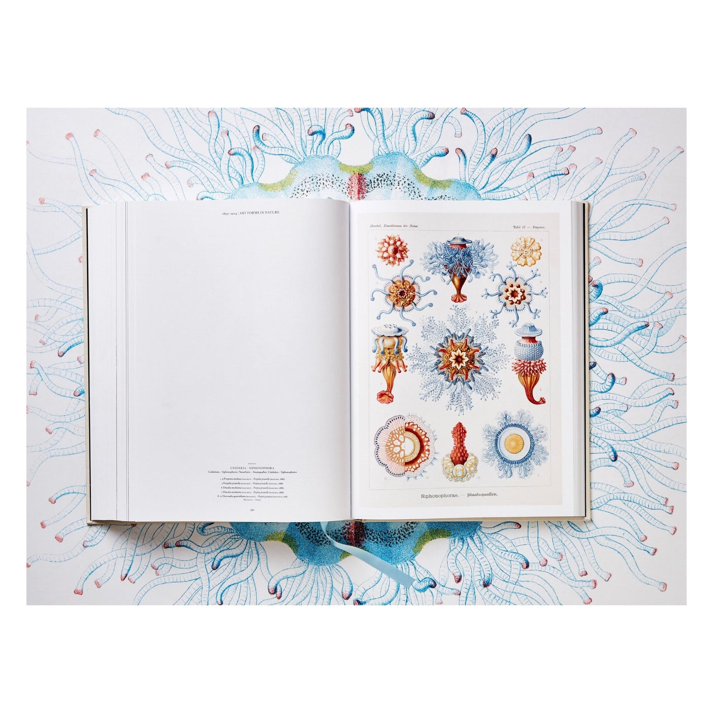 The Art and Science of Ernst Haeckel (German, French, English) Book