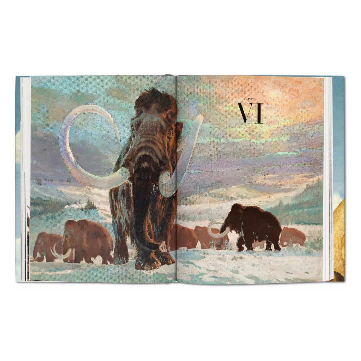 Paleoart. Visions of the Prehistoric Past (English) Book