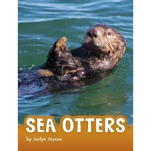 Sea Otters