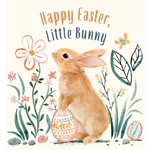 Happy Easter, Little Bunny: A Board Book