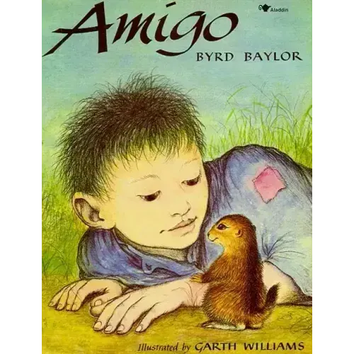 Amigo