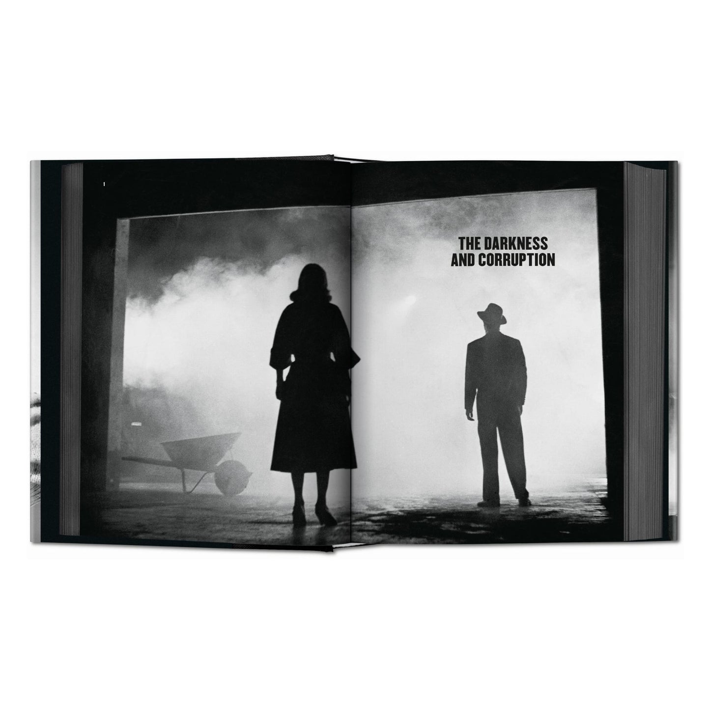 Film Noir (English) Book