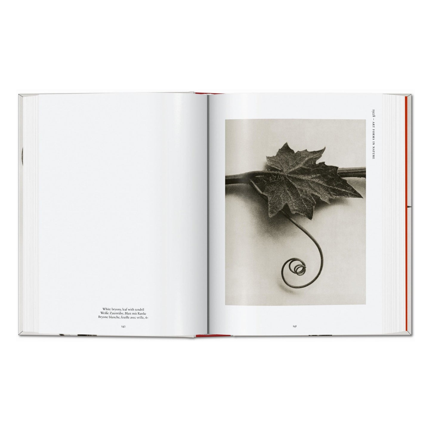 Karl Blossfeldt. The Complete Published Work. 45th Ed. (German, French, English) Book