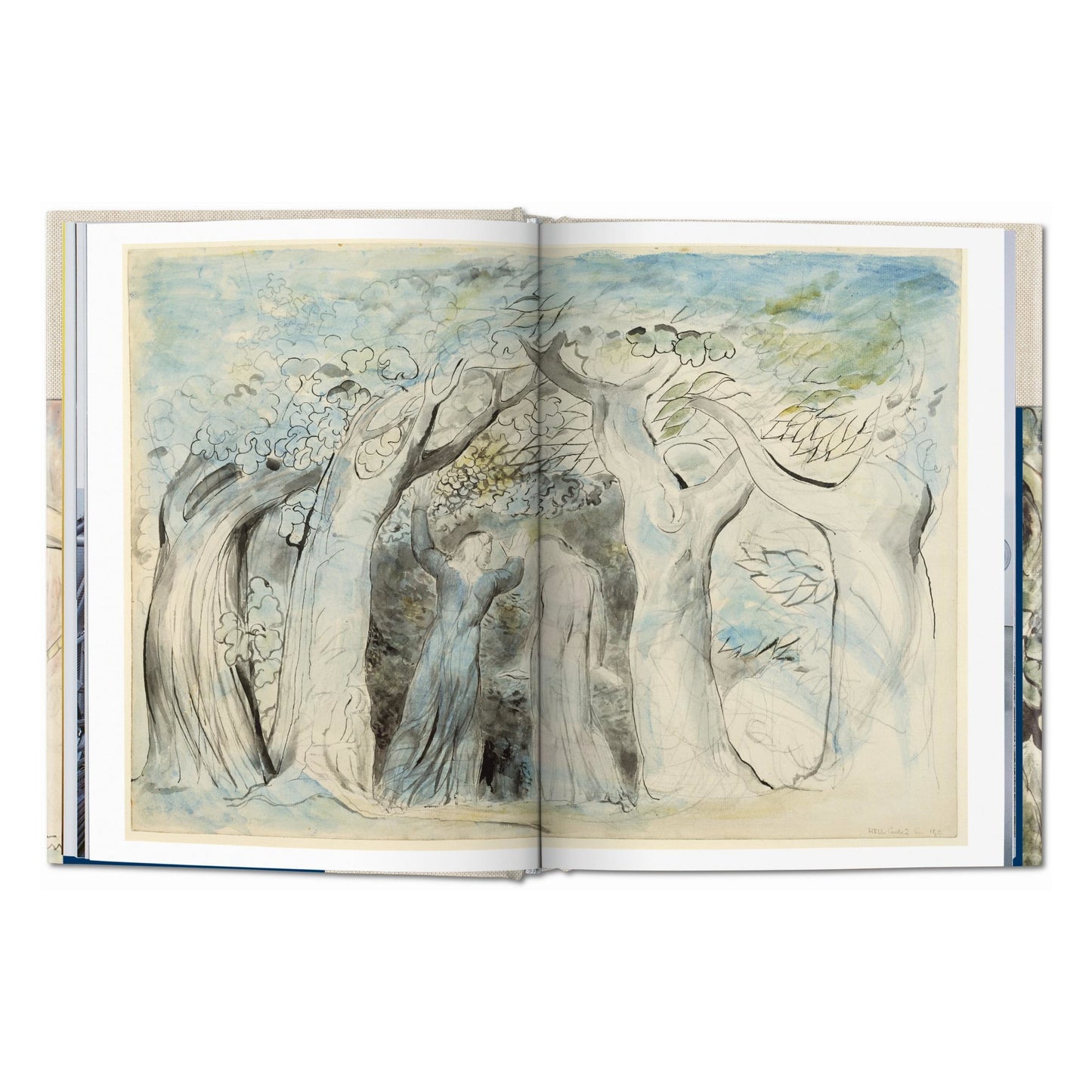 William Blake. Dante’s ‘Divine Comedy’. The Complete Drawings (English) Book
