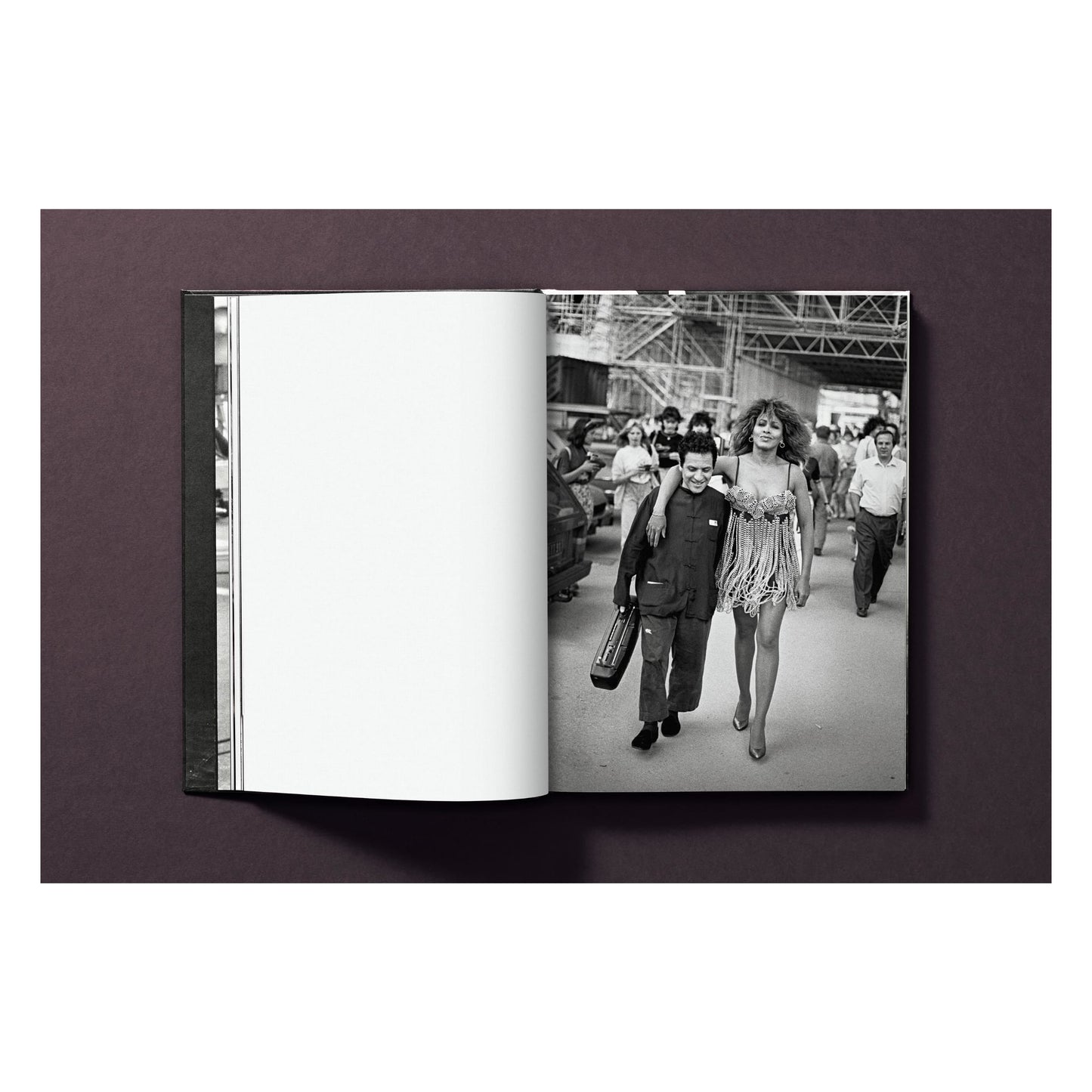 Tina Turner by Peter Lindbergh (German, French, English) Book
