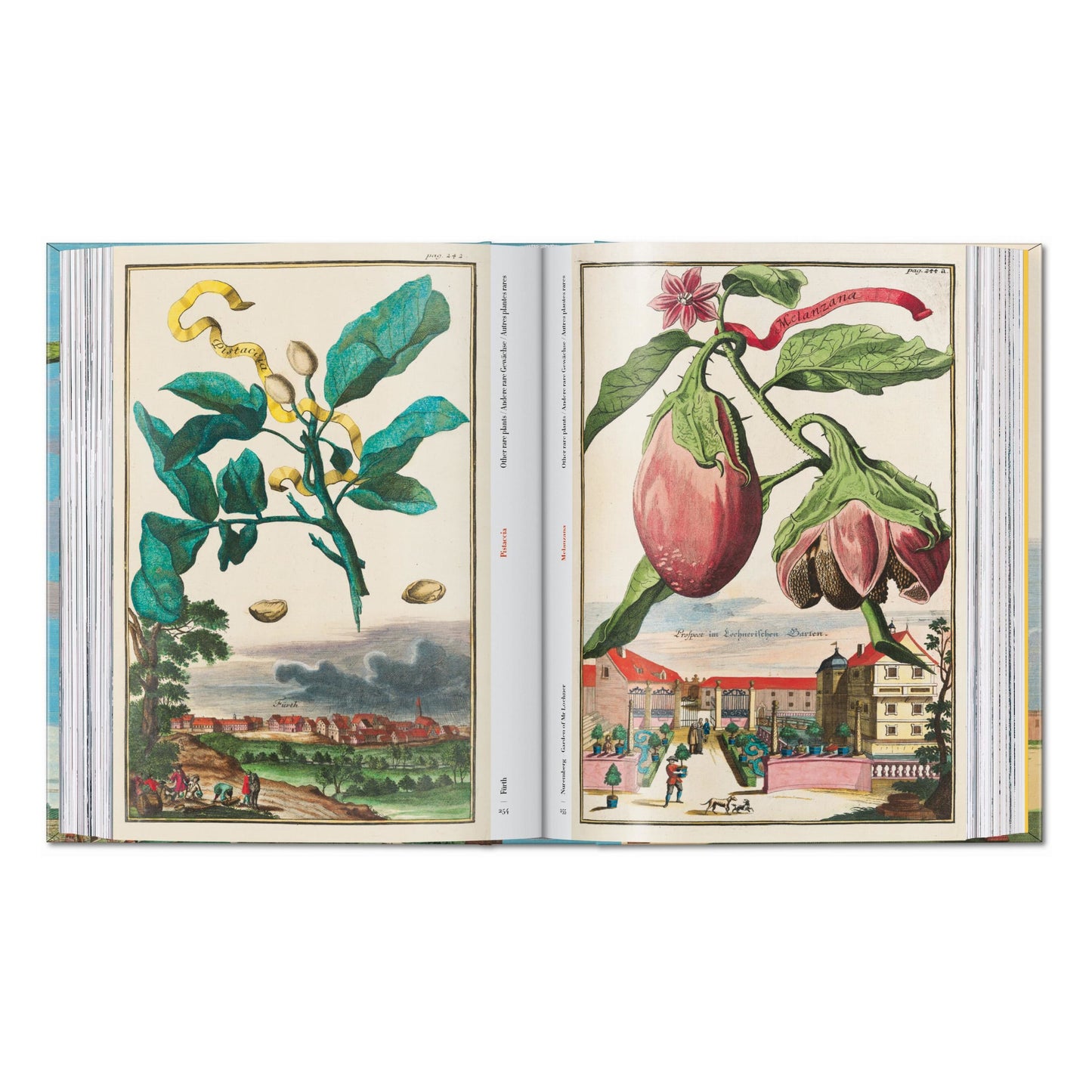 J. C. Volkamer. The Book of Citrus Fruits. 45th Ed. (German, French, English) Book