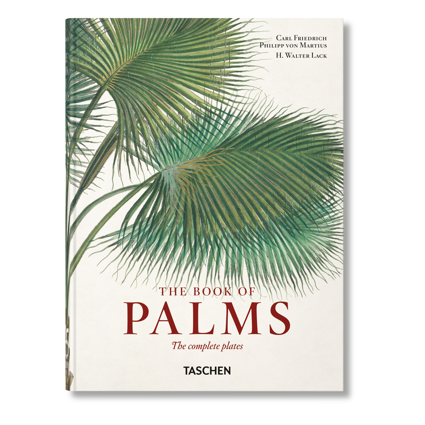 Martius. The Book of Palms. 45th Ed. (German, French, English) Book