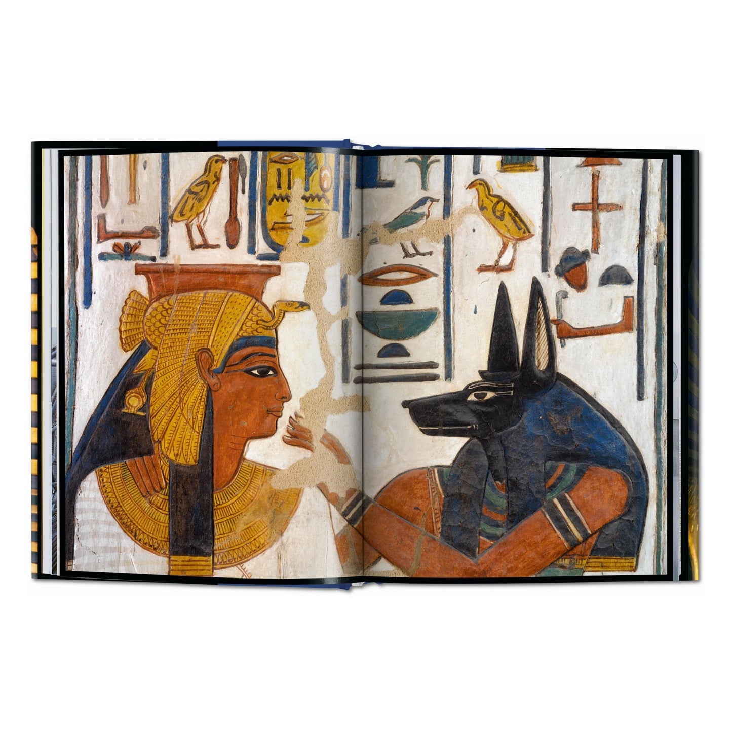 King Tut. The Journey through the Underworld (English) Book