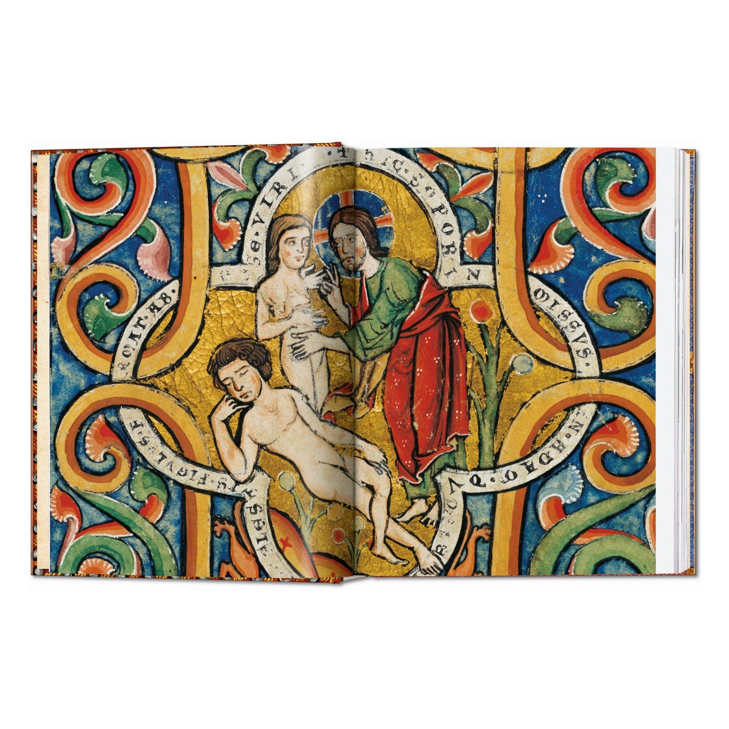 The Book of Bibles. 45th Ed. (English) Book