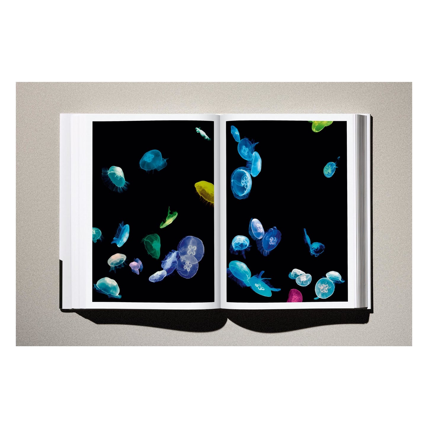 Albert Watson. Kaos (German, French, English) Book