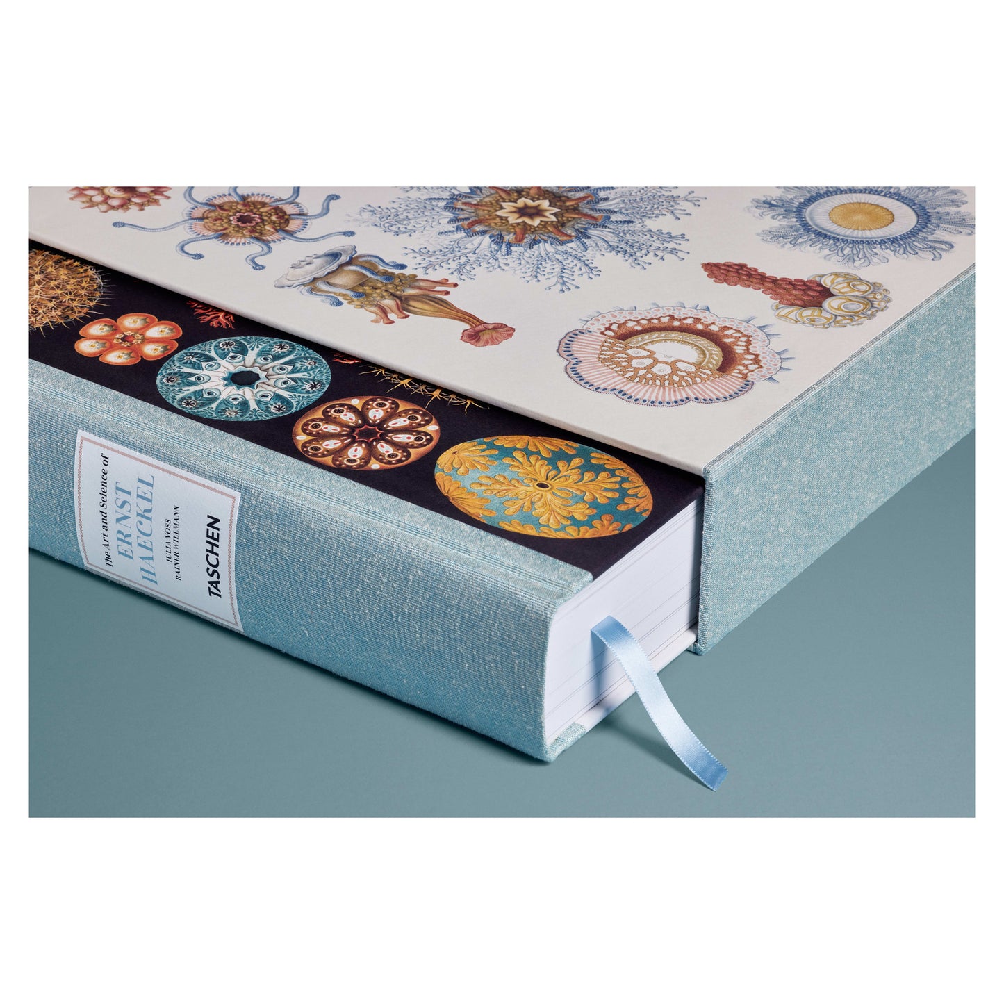 The Art and Science of Ernst Haeckel (German, French, English) Book