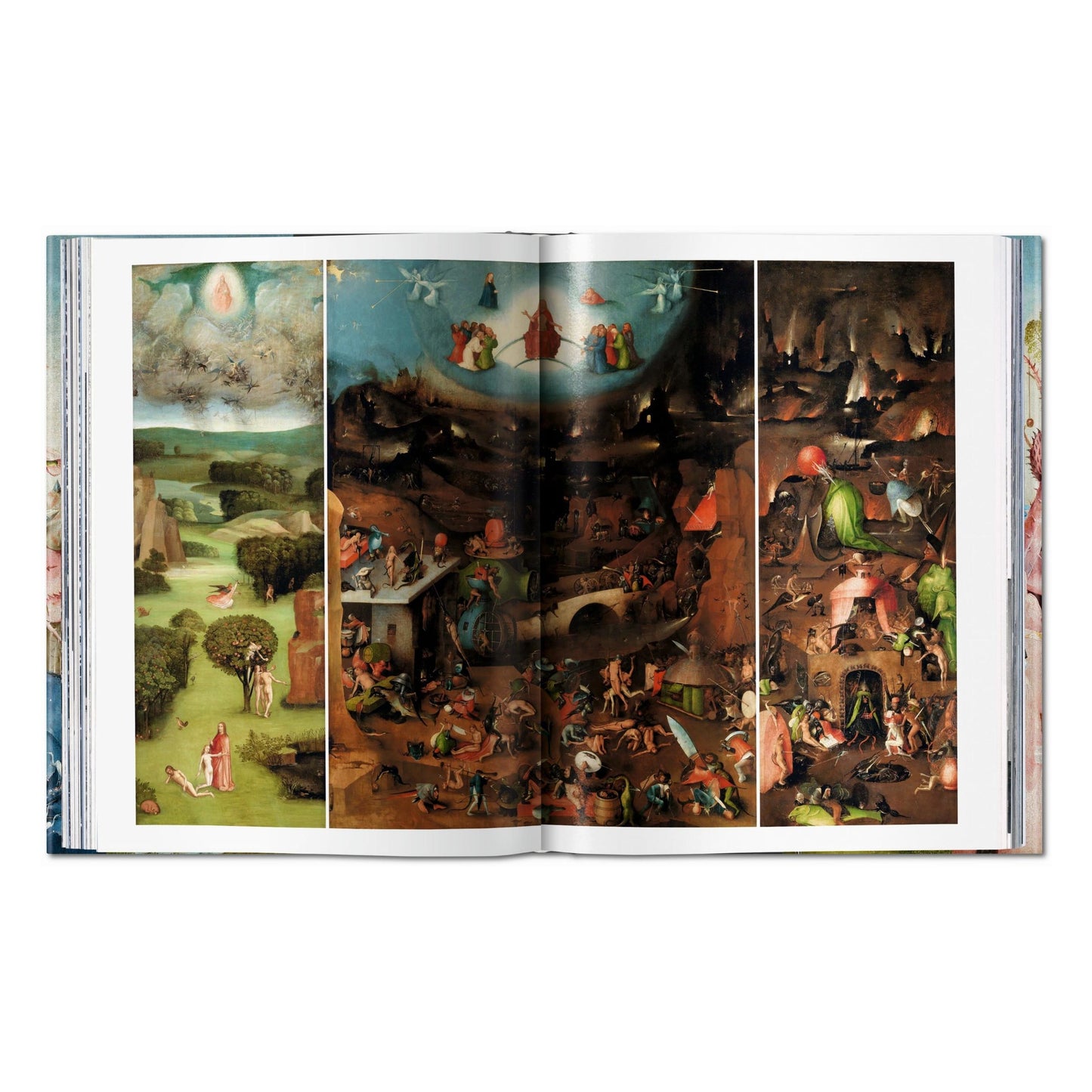 Hieronymus Bosch. The Complete Works (English) Book