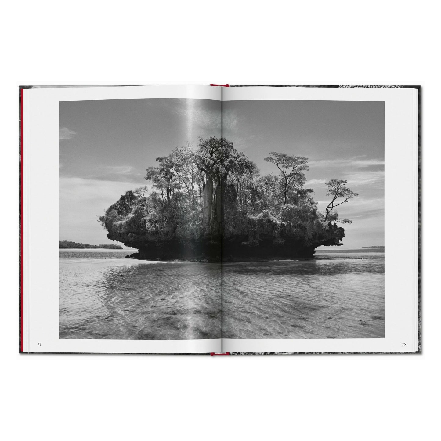 Sebastião Salgado. Genesis (English) Book