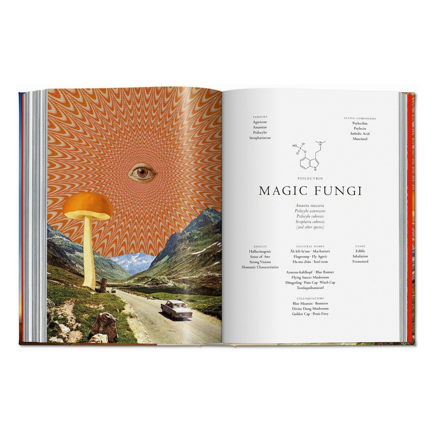 Plant Magick. The Library of Esoterica (English) Book