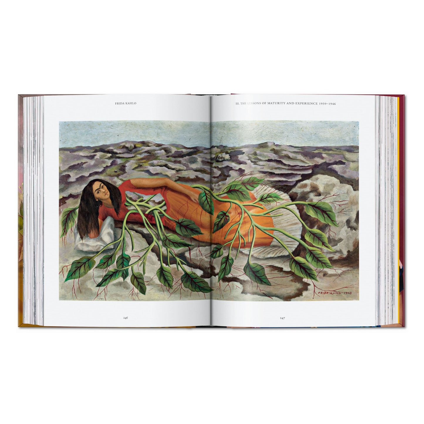 Frida Kahlo. 45th Ed. (English) Book