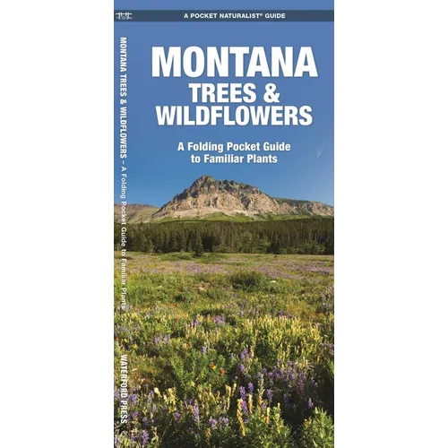 Montana Trees & Wildflowers