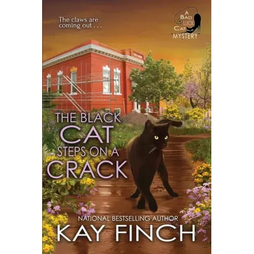 The Black Cat Steps on a Crack