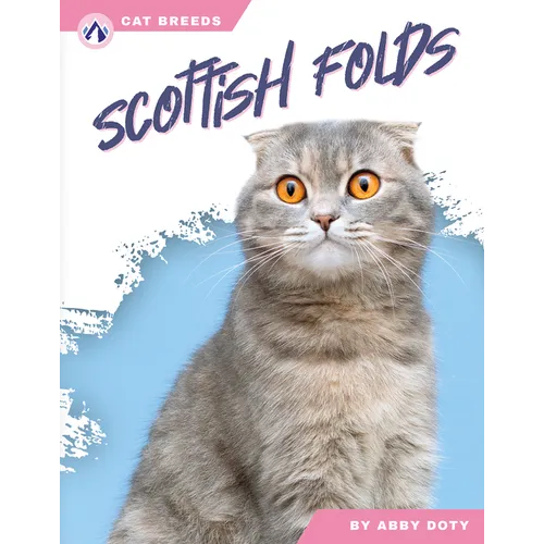 Scottish Folds