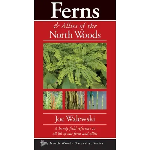 Ferns & Allies of the North Woods: A Handy Field Reference to All 86 of Our Ferns and Allies