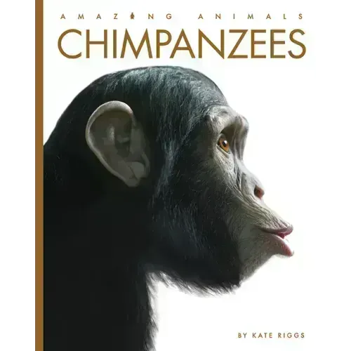 Chimpanzees