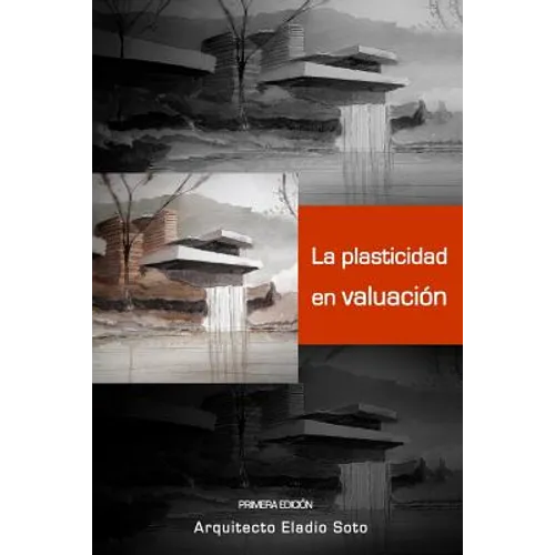 La Plasticidad En Valuación