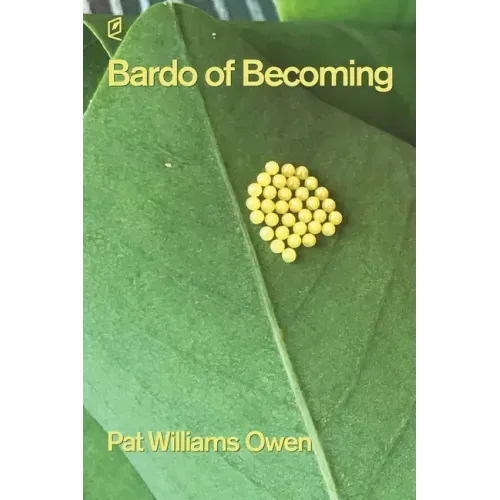 Bardo of Becoming
