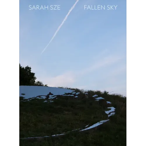 Sarah Sze: Fallen Sky