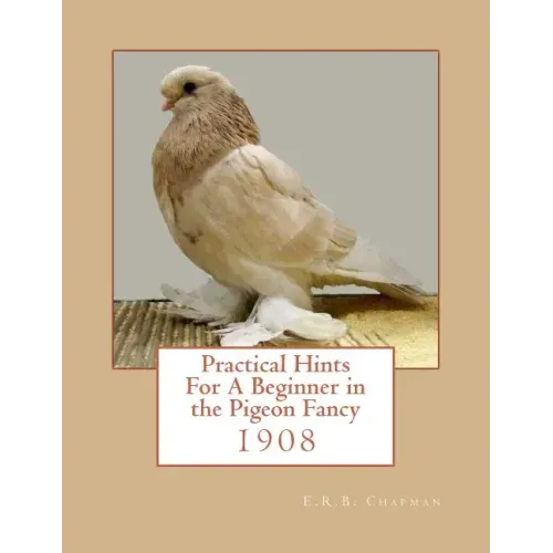 Practical Hints For A Beginner in the Pigeon Fancy