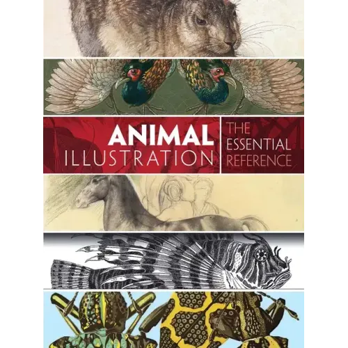 Animal Illustration: The Essential Reference