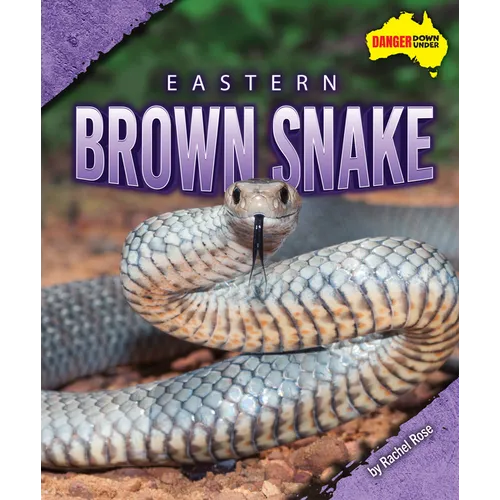 Eastern Brown Snake